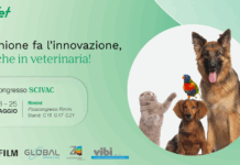 FUJIFILM Healthcare Italia investe nella diagnostica veterinaria