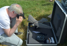 Svelati i segreti del volo degli stormi: le differenze individuali non si annullano nel gruppo