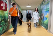 Cani terapeutici tra i ragazzi della Neuropsichiatria di Dolo