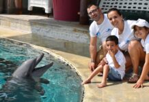 Dade e l’incontro con i delfini di Oltremare