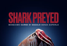 Ogni anno uccisi più di 100 milioni di squali anche per scopi alimentari