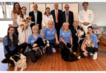 Ca’ Foncello: pet therapy e umanizzazione delle cure per i piccoli pazienti