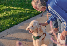 Boehringer Ingelheim lancia una campagna di sensibilizzazione sulla prevenzione per la salute di pet, famiglie e comunità