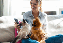 “D.A.R.E.”: dal digitale un aiuto concreto per la gestione della salute degli animali domestici