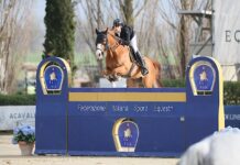 Università di Verona, Fieracavalli e Fise insieme in uno studio sulle abilità cognitive degli atleti del salto ostacoli