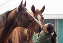 Fieracavalli 2025: al via con 2.200 cavalli, 700 aziende e 200 eventi