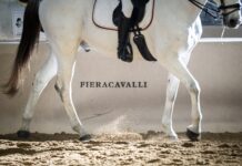 Fieracavalli 2025 si chiude con oltre 140mila visitatori