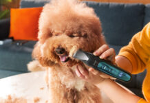 Oneisall presenta il rasoio 4 in 1 FC10