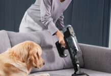 Pulizie di casa e animali: 1 gatto su 3 si nasconde per la paura