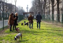 Arcaplanet firma la nuova area dedicata al benessere dei cani nel cuore di Torino