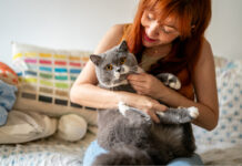 I felini sono sempre più protagonisti nelle case italiane