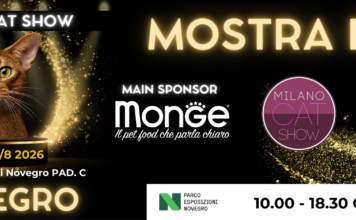 Ritorna il Milano Cat Show
