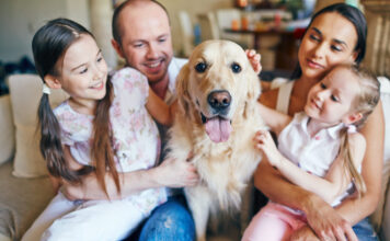 Animali, responsabilità e famiglia: quando il diritto entra nella vita quotidiana