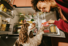 Il segreto del pet food non è in etichetta