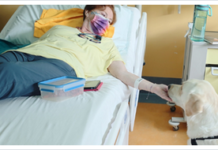 Oncologia di Montebelluna: prima seduta di chemioterapia con accanto il suo labrador