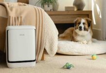 Levoit Vital Pet Pro: il purificatore d’aria smart per le case che ospitano animali domestici