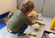 Purina e Frida’s Friends insieme nel reparto di neurologia pediatrica al Fatebenefratelli di Milano
