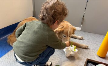 Purina e Frida’s Friends insieme nel reparto di neurologia pediatrica al Fatebenefratelli di Milano