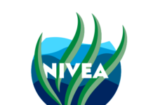 NIVEA Oasi Marina: tre anni di impegno per la tutela del Mar Mediterraneo