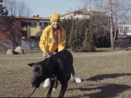ENPA lancia la campagna nazionale 2026 di sensibilizzazione per l’amore e il rispetto degli animali