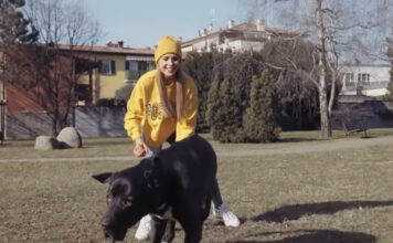 ENPA lancia la campagna nazionale 2026 di sensibilizzazione per l’amore e il rispetto degli animali