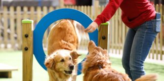 MagicLand ospita una delle prime aree cani ludico-ricreative in Europa all’interno di un parco divertimenti