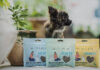 Globe Buddy lancia la nuova linea Hearts con snack per cani