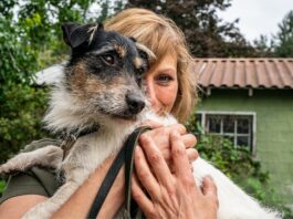Le razze canine più amate dagli italiani