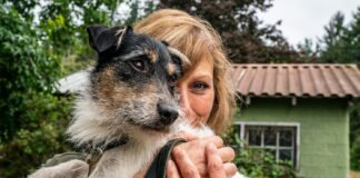 Le razze canine più amate dagli italiani