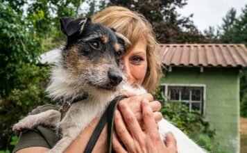 Le razze canine più amate dagli italiani