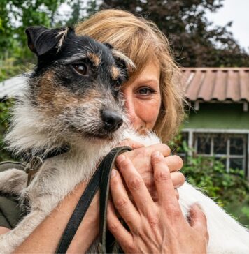 Le razze canine più amate dagli italiani