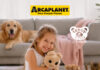 Arcaplanet presenta i Teddy Friends by THUN