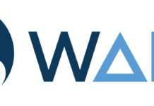 WAILS: la nuova tecnologia italiana per proteggere i cetacei da navi e cantieri marini