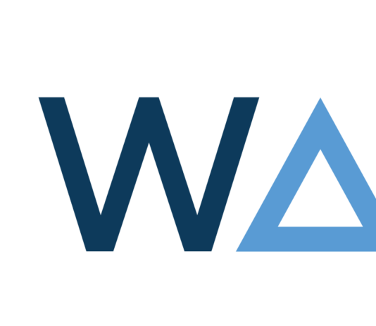WAILS: la nuova tecnologia italiana per proteggere i cetacei da navi e cantieri marini