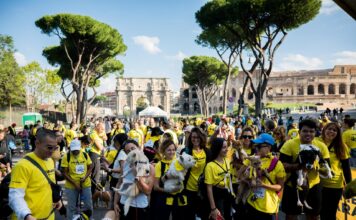 Arcaplanet torna alla Dog Run di Roma