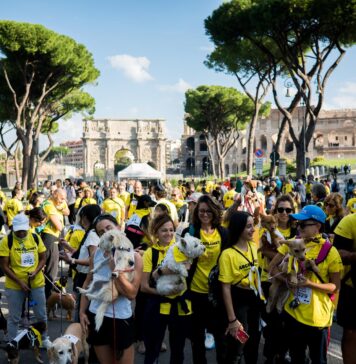 Arcaplanet torna alla Dog Run di Roma