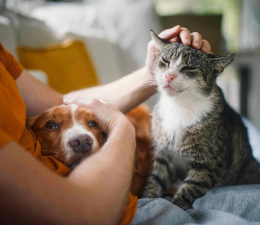 Effetto “Pawsitivity”: per il 96% dei proprietari il cane è un alleato del benessere