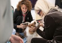 Arriva in Italia una soluzione basata sull’AI per la rilevazione precoce dei soffi cardiaci nei cani