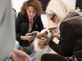 Arriva in Italia una soluzione basata sull’AI per la rilevazione precoce dei soffi cardiaci nei cani